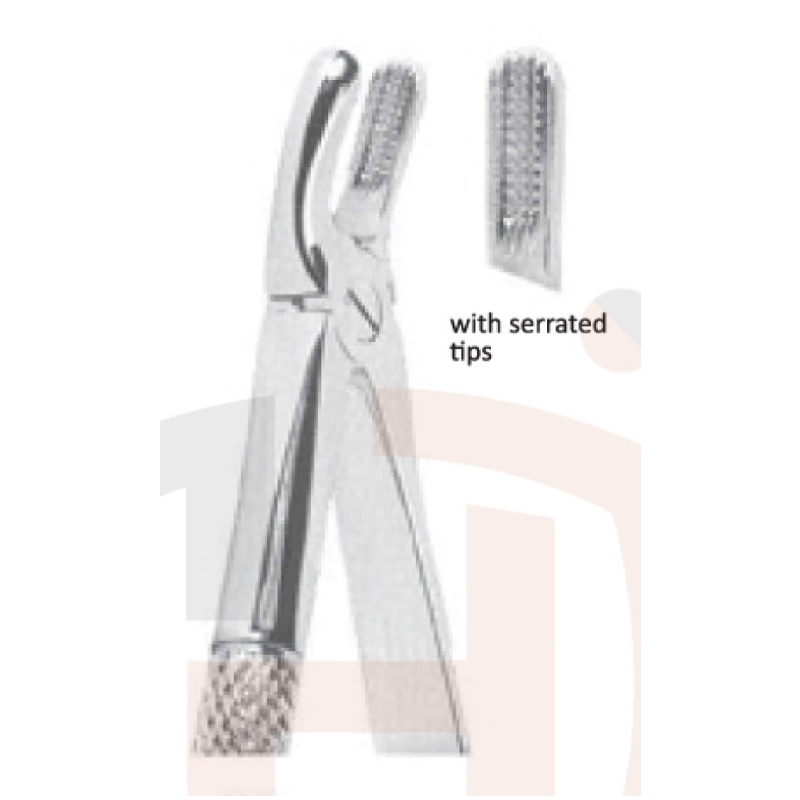 EXTRACTING FORCEPS-MEAD PATTERN